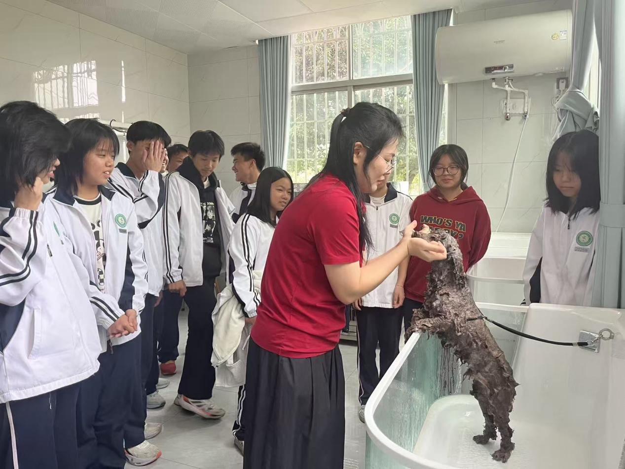 图片2.jpg 图片2.jpg